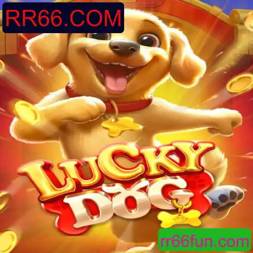 Explorando o Mundo do LuckyDog: Regras, Estratégias e Atualizações