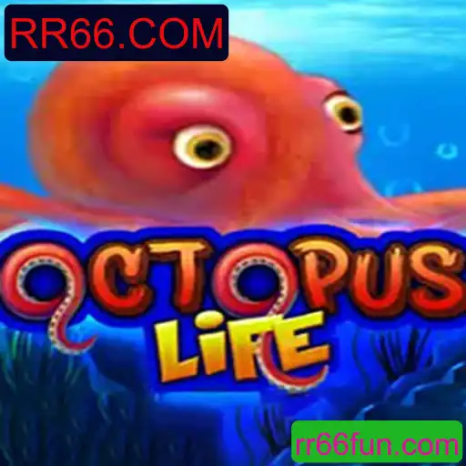 Explorando o Mundo de OctopusLife: Um Guia Completo